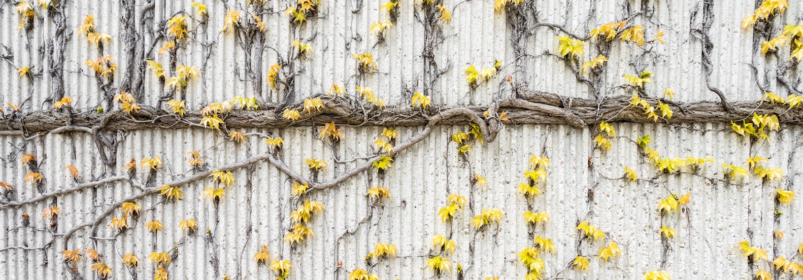 Abstract concrete texture
