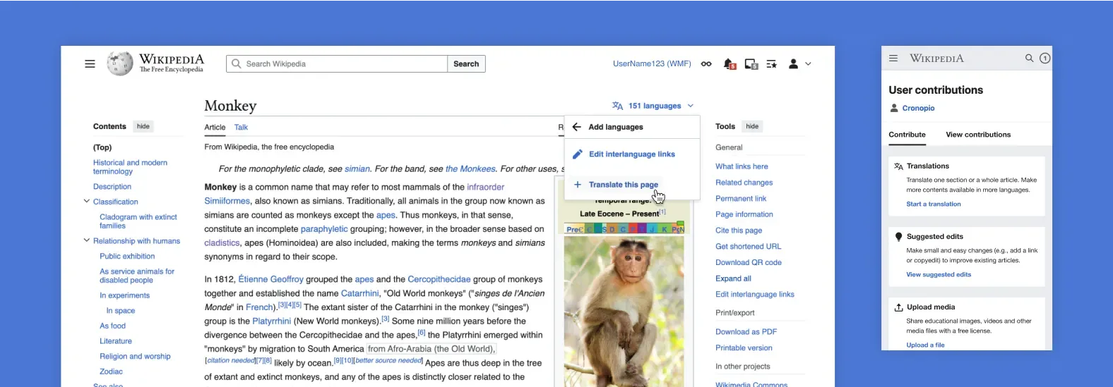 Section translation entry points within a Wikipedia article